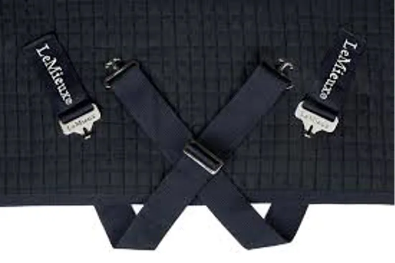 LeMieux Arika Clima-Tek Sheet - Navy-2